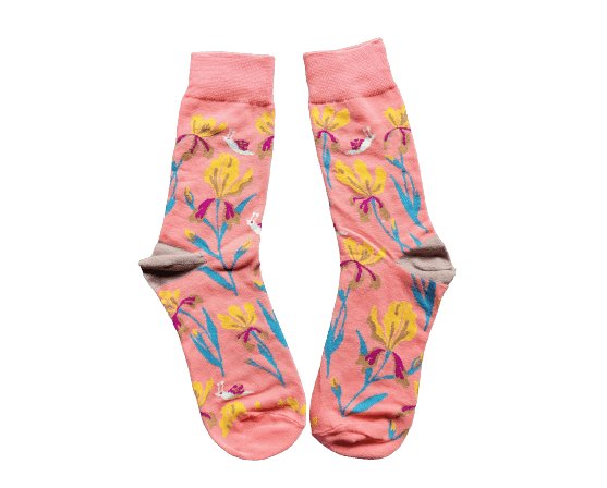 Snail Socks Sockable Fundraising 